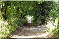 Bridleway to Stonesfield