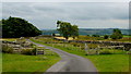 Road from Moorahill and Carhullan