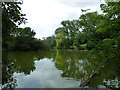 An August afternoon in Moseley Park (2)