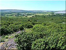 M2104 : Burren landscape by Oliver Dixon