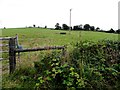 Mullanbeg Townland