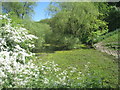 Pond by Easthorpe Farm