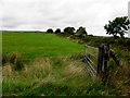 An open field, Mullanmore