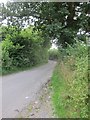 East Dundry Road looking uphill from Whitchurch