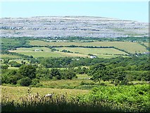 M2104 : Burren landscape by Oliver Dixon