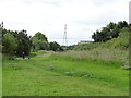 Osiers Nature Area - mound area