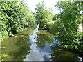 River Medway from Branbridges Road