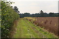 Colours on the bridleway from Baumber to Hungram House