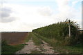 Bridleway from Green Lane to the Roman Road