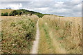 South Downs Way above Buriton Farm