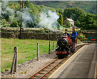 NY1700 : Running Around at Dalegarth by Peter Trimming