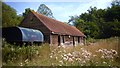 SP6901 : Old Shed with Thistles by Des Blenkinsopp