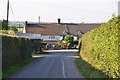 Mid Devon : Country Lane