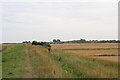 Saltfleet, from north of Howden