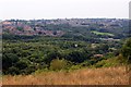 Looking over Shire Brook Valley