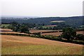 Overlooking Plumbley Hall Farm