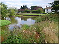 The pond at Matfield Green