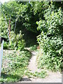 The path into Mays Wood from Pilgrims Road