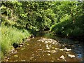 The Carnock Burn