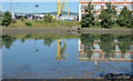 Victoria Park footbridge site, Belfast (2013-1)