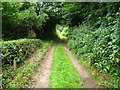 The Llwybr Maelor Way