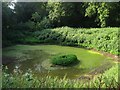 Pond, Coots Dale