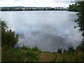 Leybourne Lakes Country Park