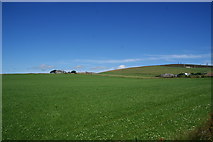 HY4110 : Grassy field below Wideford Hill by Bill Boaden