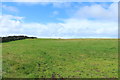 NS2811 : Farmland near Bogside by Billy McCrorie