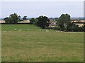 Grass airstrip at Hinkle Grange, Middleton Tyas