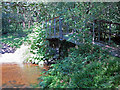 Footbridge over the Afon Syfynwy