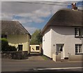 Thatched cottages, Newton Poppleford