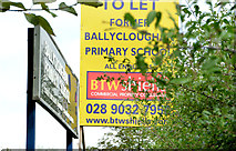 J4161 : Former Ballycloughan Primary School near Saintfield (2013-2) by Albert Bridge