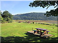 A picnic area overlooking Holy Loch