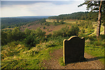 SU8935 : The Sailor's Stone, Devil's Punch-Bowl, Hindhead by Christopher Hilton