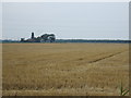 Crop field north of Spotfield Lane