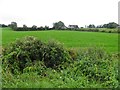 Feenan Townland