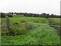 Rathwarren Townland