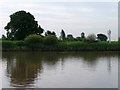 Shore mark 18, south bank, River Ouse