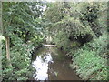 TQ5591 : Ingrebourne River in Harold Park by Nigel Cox