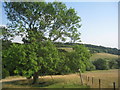 The Yorkshire Wolds near Woodale Farm