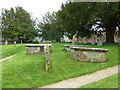 Parish church, Donhead St Mary: churchyard (8)