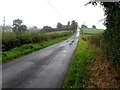 Killyliss Road, Racane