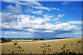 Wheat Fields & Showers at Sea