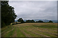 Below Knowbury Church