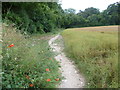 Footpath on the edge of Walton Downs