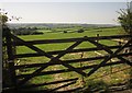 Field by Pyne Meadow Cross