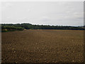 NT9741 : Cultivated arable field near Woodside Farm by Graham Robson