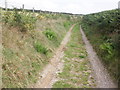 Track from Sedgeborough to the main road