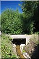 Bridle Path Bridge in Hawkwell